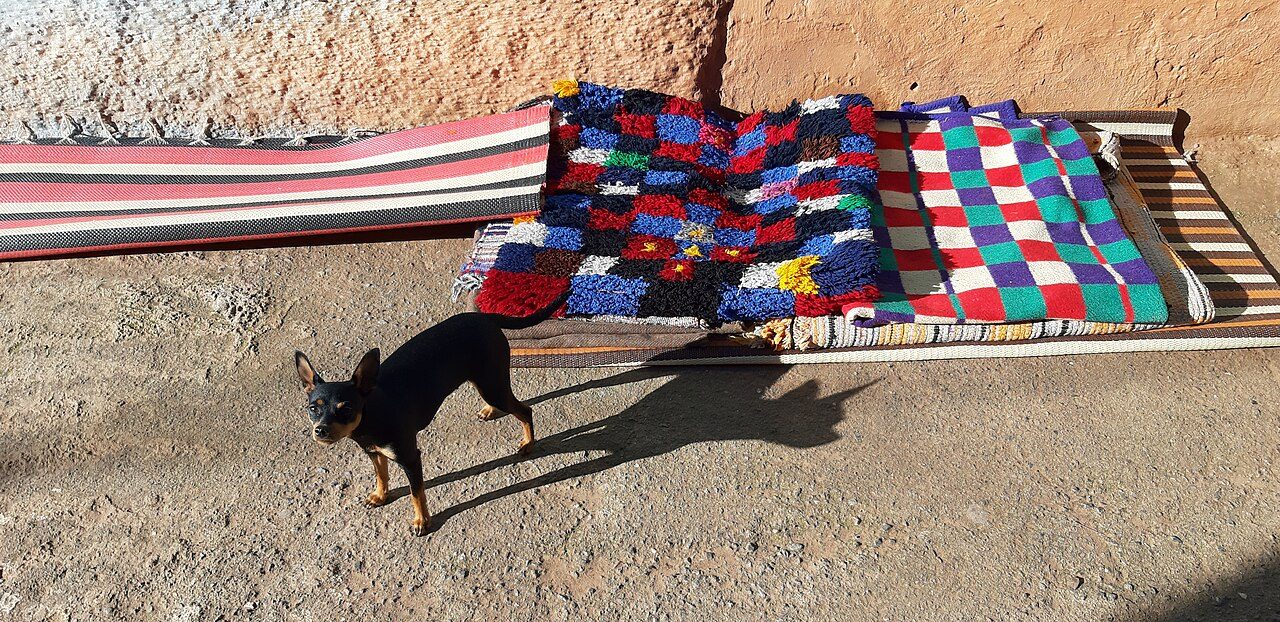 Berber Kilim — Ahandire Bands